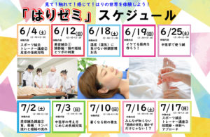 はりゼミ開催